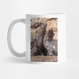 Seals Mug